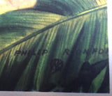 1940's Vintage WWII WW2 Philip Ronfor Illustrator Paratroopers Print