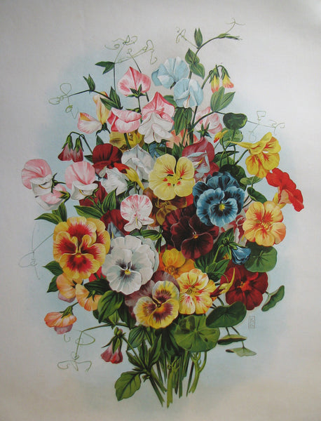 1900 Antique Victorian Pansy Flower Parlor Print Vintage Poster