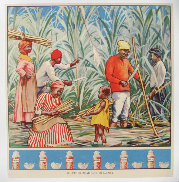 1930's British Sugar Canes Jamaica Vintage Children's Poster