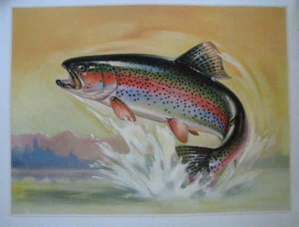 1940's Rainbow Trout & Fly Antique Fly Fishing Vintage Fish Poster