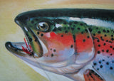 1940's Rainbow Trout & Fly Antique Fly Fishing Vintage Fish Poster